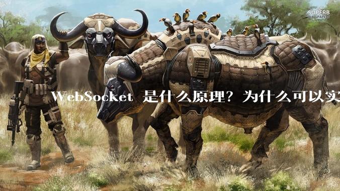 WebSocket 是什么原理？为什么可以实现持久连接？