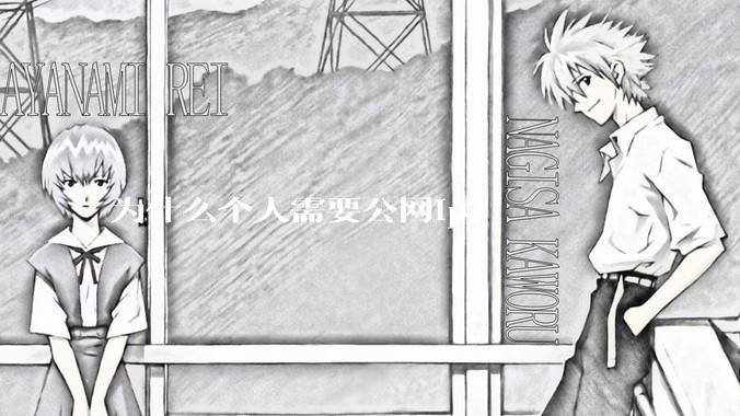 为什么个人需要公网ip？